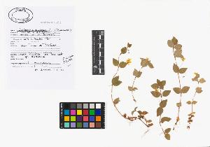 SW_BNB_s3040-02779_IMG-0000000001