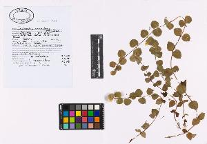 SW_BNB_s3040-02781_IMG-0000000001