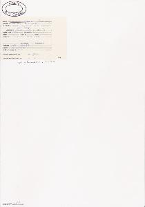 SW_BNB_s3040-02782_IMG-0000000001