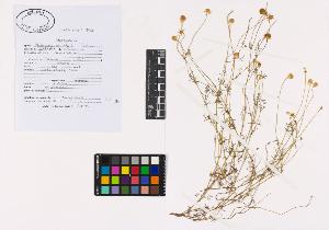 SW_BNB_s3040-02799_IMG-0000000001