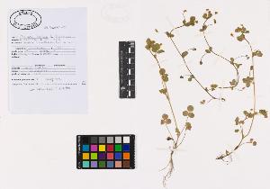 SW_BNB_s3040-02812_IMG-0000000001