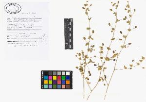 SW_BNB_s3040-02813_IMG-0000000001