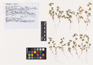 SW_BNB_s3040-02818_IMG-0000000001