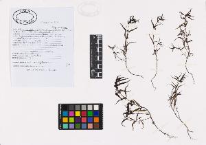 SW_BNB_s3040-02826_IMG-0000000001