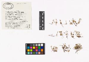 SW_BNB_s3040-02871_IMG-0000000001