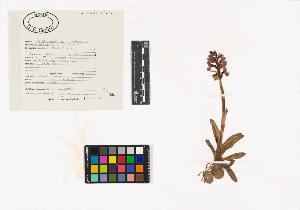 SW_BNB_s3040-02874_IMG-0000000001