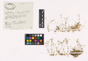 SW_BNB_s3040-02880_IMG-0000000001