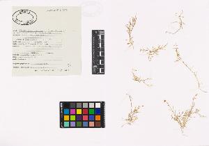 SW_BNB_s3040-02889_IMG-0000000001