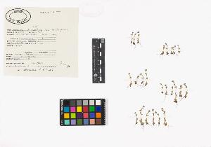 SW_BNB_s3040-02937_IMG-0000000001