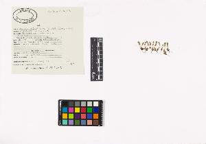 SW_BNB_s3040-02938_IMG-0000000001