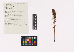SW_BNB_s3040-02953_IMG-0000000001