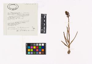 SW_BNB_s3040-03012_IMG-0000000001