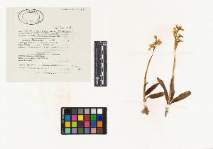 SW_BNB_s3040-03016_IMG-0000000001