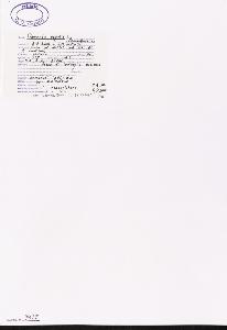SW_BNB_s3040-03042_IMG-0000000001