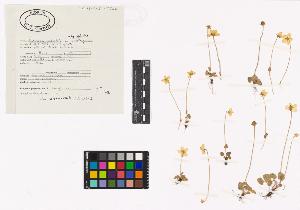 SW_BNB_s3040-03095_IMG-0000000001