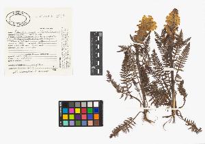 SW_BNB_s3040-03107_IMG-0000000001
