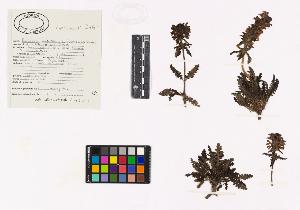 SW_BNB_s3040-03116_IMG-0000000001