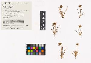 SW_BNB_s3040-03193_IMG-0000000001