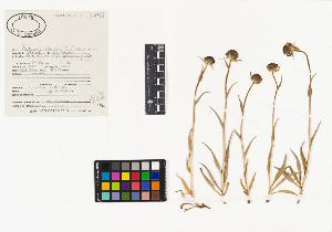 SW_BNB_s3040-03201_IMG-0000000001