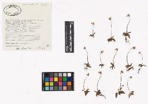 SW_BNB_s3040-03221_IMG-0000000001