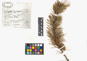 SW_BNB_s3040-03231_IMG-0000000001