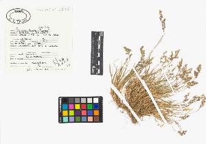 SW_BNB_s3040-03321_IMG-0000000001