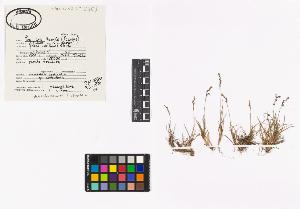SW_BNB_s3040-03323_IMG-0000000001