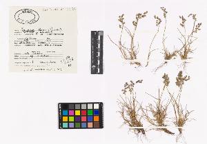 SW_BNB_s3040-03327_IMG-0000000001