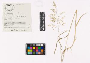 SW_BNB_s3040-03353_IMG-0000000001