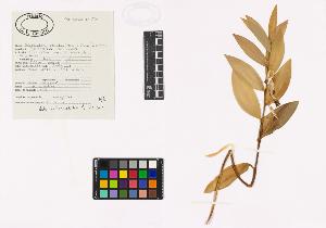 SW_BNB_s3040-03387_IMG-0000000001
