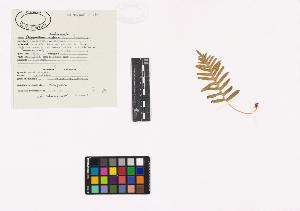 SW_BNB_s3040-03418_IMG-0000000001