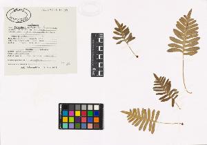 SW_BNB_s3040-03419_IMG-0000000001