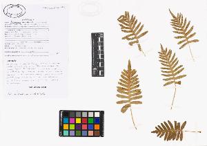 SW_BNB_s3040-03420_IMG-0000000001