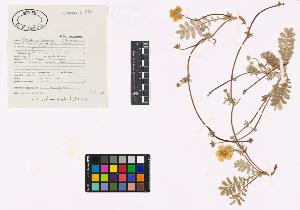 SW_BNB_s3040-03476_IMG-0000000001