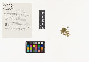 SW_BNB_s3040-03484_IMG-0000000001