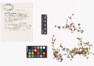 SW_BNB_s3040-03525_IMG-0000000001