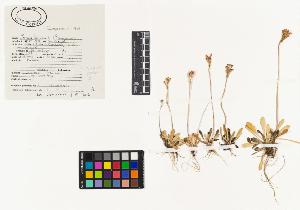 SW_BNB_s3040-03542_IMG-0000000001