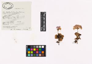 SW_BNB_s3040-03543_IMG-0000000001