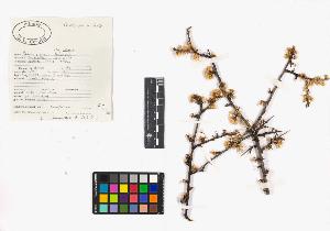 SW_BNB_s3040-03577_IMG-0000000001