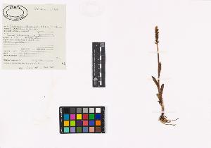SW_BNB_s3040-03582_IMG-0000000001