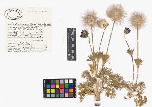 SW_BNB_s3040-03603_IMG-0000000001