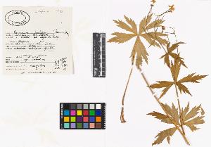SW_BNB_s3040-03636_IMG-0000000001