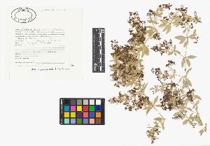 SW_BNB_s3040-03725_IMG-0000000001