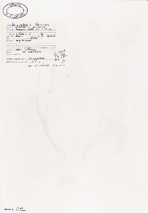 SW_BNB_s3040-03747_IMG-0000000001