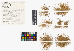 SW_BNB_s3040-03763_IMG-0000000001