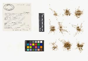 SW_BNB_s3040-03764_IMG-0000000001