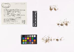 SW_BNB_s3040-03767_IMG-0000000001