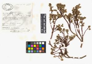 SW_BNB_s3040-03783_IMG-0000000001