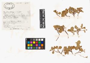 SW_BNB_s3040-03795_IMG-0000000001