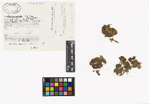 SW_BNB_s3040-03815_IMG-0000000001